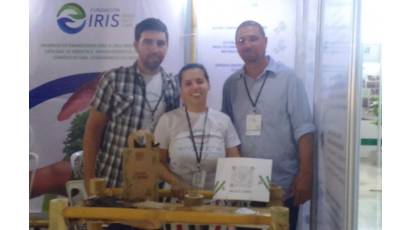 Emprendimientos promueven uso del bambú en Cuba