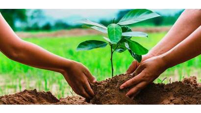 Tarea Vida y agricultura, nexos imprescindibles