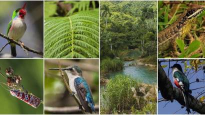 Cover de Noticia kqiBVn_07-09-2025_22.09.09.000000.jpg