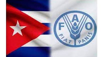 Reconoce Cuba apoyo de la FAO a la isla