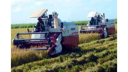 Proyecta la Agricultura ampliar estrategias de siembra de arroz en 2026