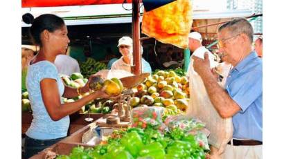 Nueva normativa  perfecciona comercialización agropecuaria y forestal