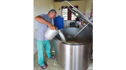 Dictan regulaciones para comercialización de leche