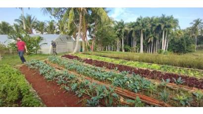 Cuba avanza hacia ley de la tierra