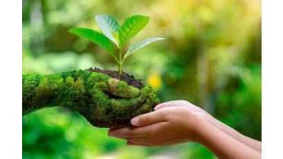 Política ambiental sigue siendo una prioridad del Estado cubano