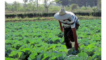 Cuba aprueba nuevas normas para las cooperativas