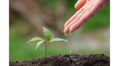Inicia Cuba transición hacia nueva versión de norma de gestión ambiental