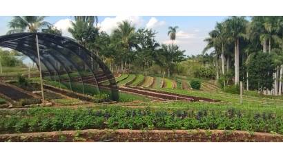 Entran en vigor nuevas normas para el campo cubano