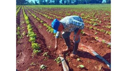Proyecto Salva refuerza capacidades productivas en Cuba