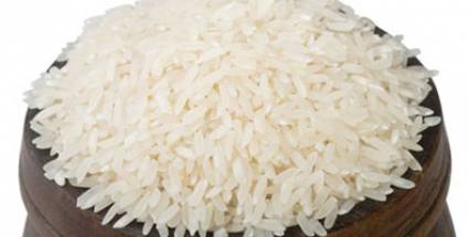 Arroz 