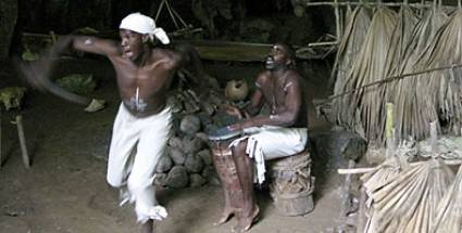 Muestra de la vida de los negros fugitivos 