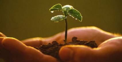 Agricultura Orgánica y Sostenible 