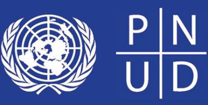 Programa de las Naciones Unidas para el Desarrollo (PNUD)