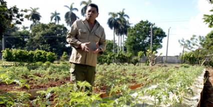 Unidades Básicas de Producción Cooperativas 