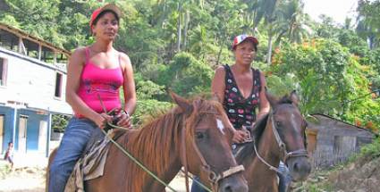 Recuperación equina