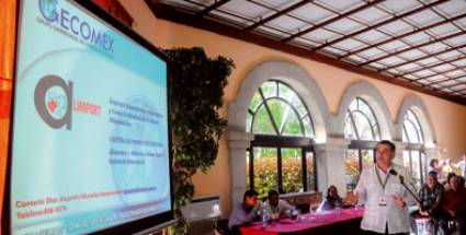 Grupo empresarial GECOMEX