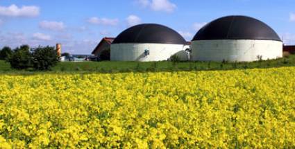  Foro de sociedad civil 