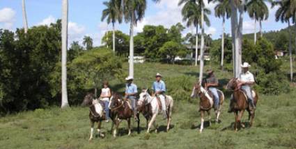 Flora y Fauna en Vueltabajo