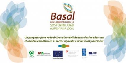 Proyecto Basal