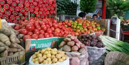 Agencias de Naciones Unidas y Cuba por seguridad alimentaria