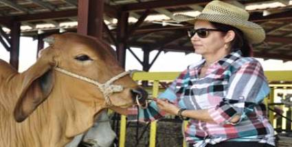 La ciencia cubana al servicio de la ganadería