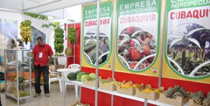 Desarrollo agroindustrial