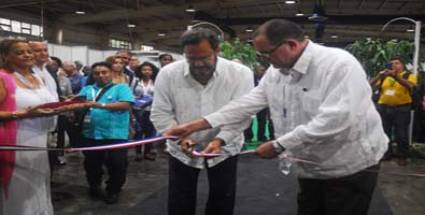 Organización Internacional del Azúcar (OIA