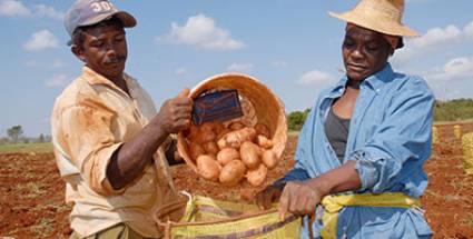 Relevante papel de la agricultura