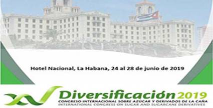 Diversificación 2019