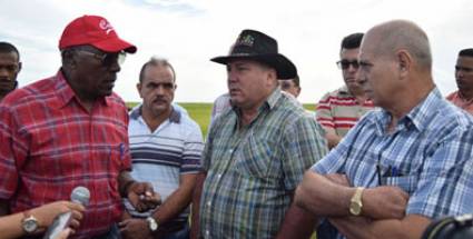 Pinar del Río: Chequean inversiones de programas agrícolas 
