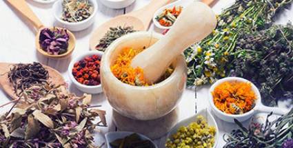 Agricultura avileña eleva número de plantas medicinales