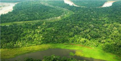 Bolsonaro destruye la Amazonía brasileña