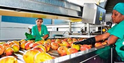Industria de conservas en Ciego de Ávila