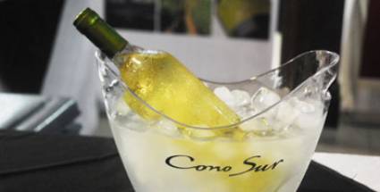 Descubrir encantos en una copa de vino