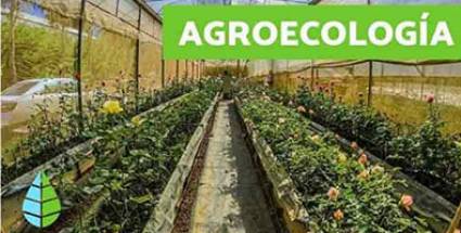 Agricultura sostenible y cooperativismo