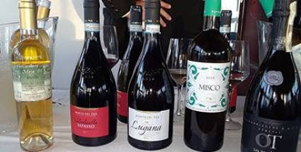Compañía italiana de vinos extiende su posicionamiento en mercado cubano