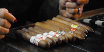 Cuba mantiene producciones de habanos