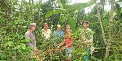 Finca familiar El rosario: Tradición y continuidad