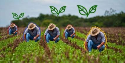 Actualizan daños en la agricultura por el paso de tormenta tropical Eta