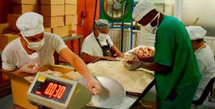 Consejo de Ministros: En la senda de perfeccionar el proyecto social y económico cubano