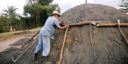 Exportar carbón vegetal multiplica utilidades