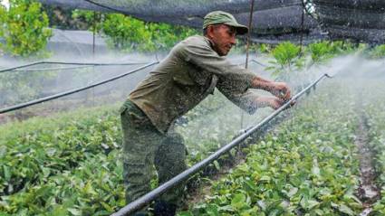 Cooperativas agropecuarias, mirar hacia las mejores experiencias