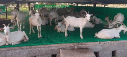 ALASS, para que la agricultura de seis municipios vuele