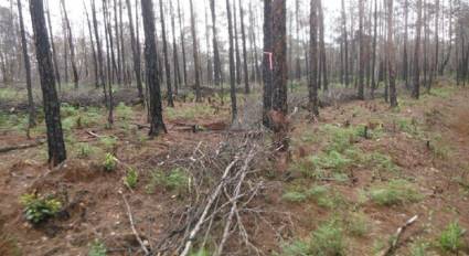 Cover de Noticia 1qSEP4_03-11-2022_11.11.10.000000.jpg