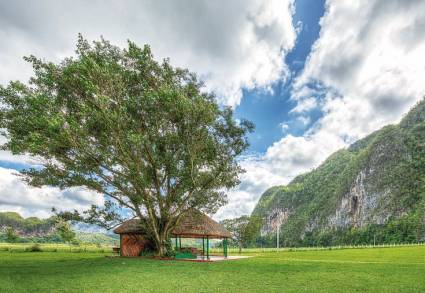 Conectando paisajes, un proyecto ambiental con alcance social y económico