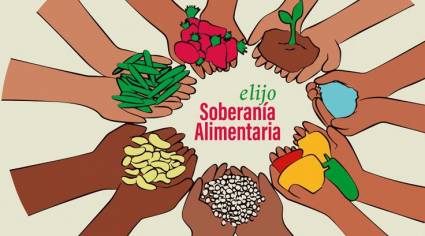 Concluye Programa FAO-UE sobre sostenibilidad para la seguridad alimentaria