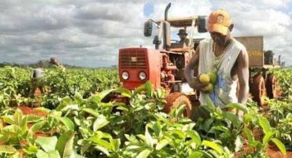 Analizan estado de proyectos de inversión extranjera en Agricultura