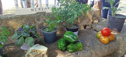 Los caminos de los bioproductos