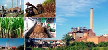 El cuidado medioambiental en la ruta revitalizadora de la agroindustria azucarera