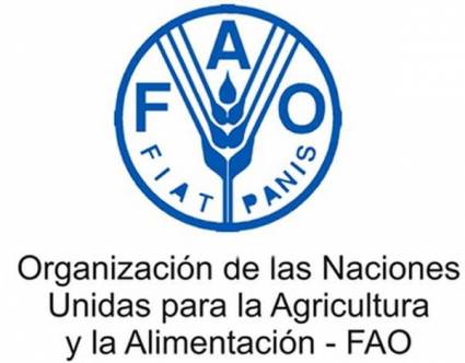 Recibe Cuba apoyo de la FAO para recuperarse del huracán Rafael